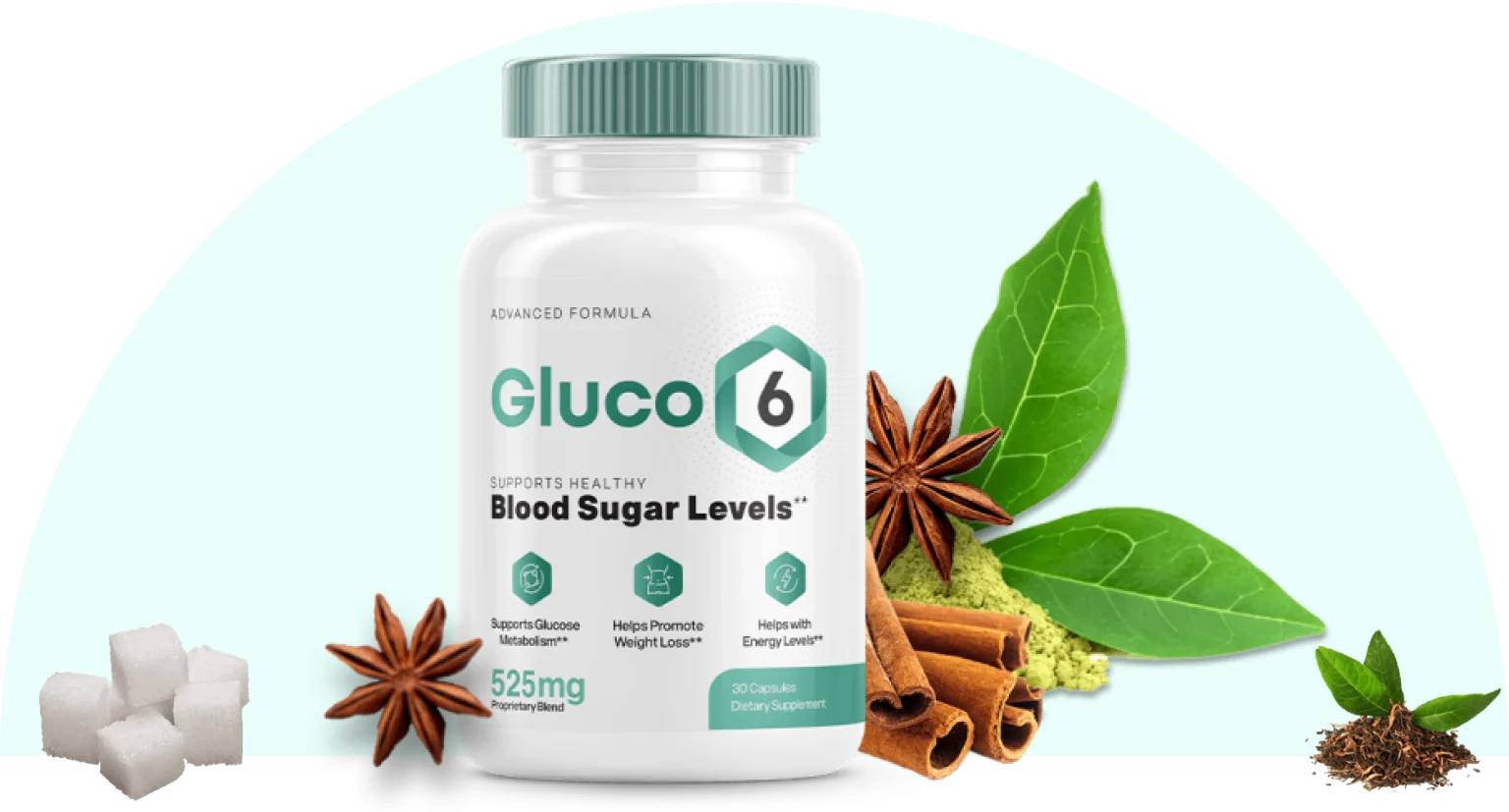 gluco 6